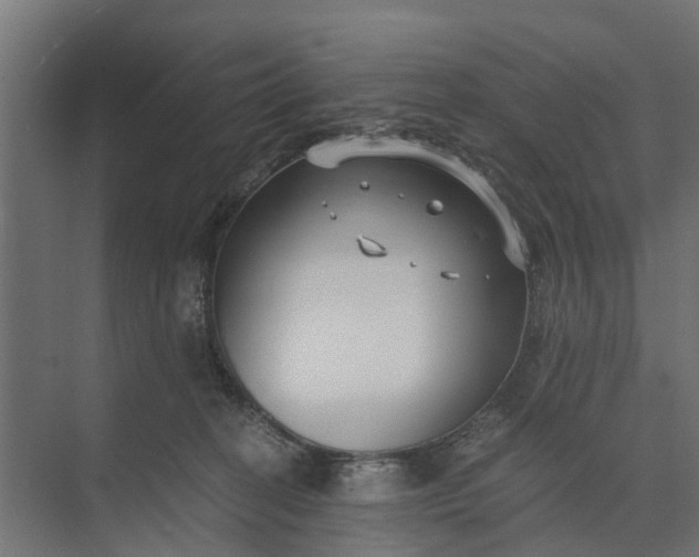 X0000073860274200608241116