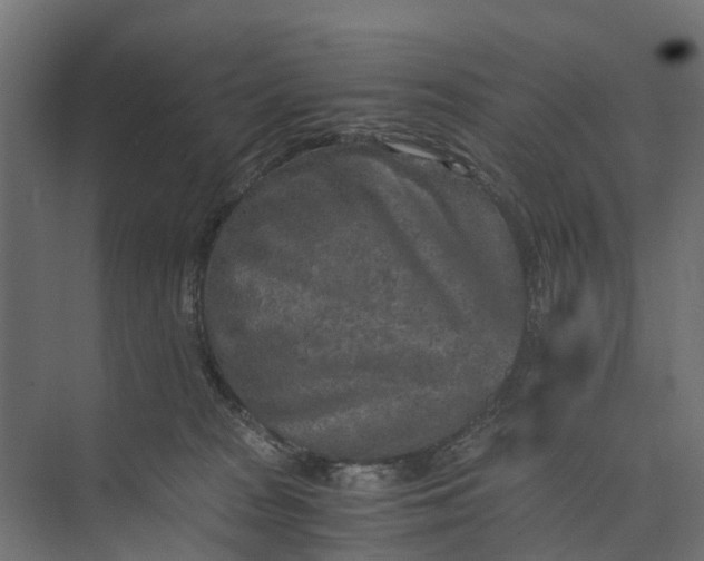 X0000073860277200608241116