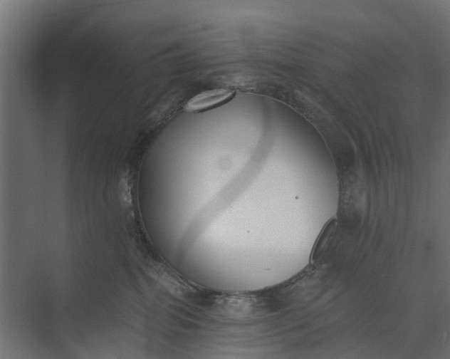 X0000073860282200608241116