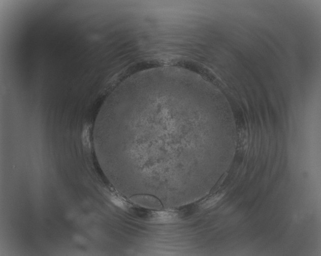 X0000073860286200608241116