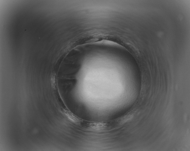 X0000073860288200608241116