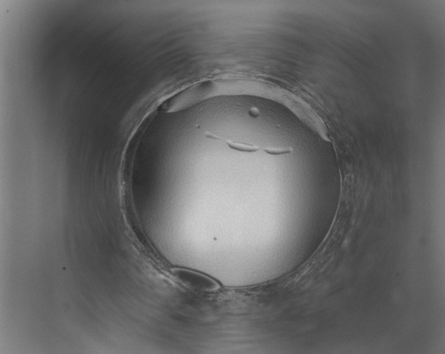 X0000073860290200608241116