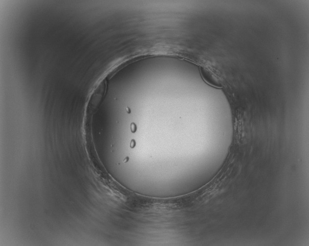 X0000073860292200608241116