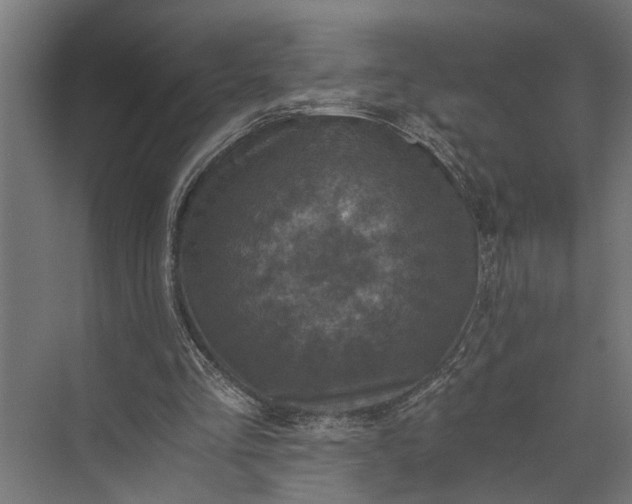 X0000073860293200608241116