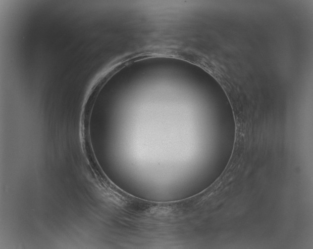 X0000073860294200608241116