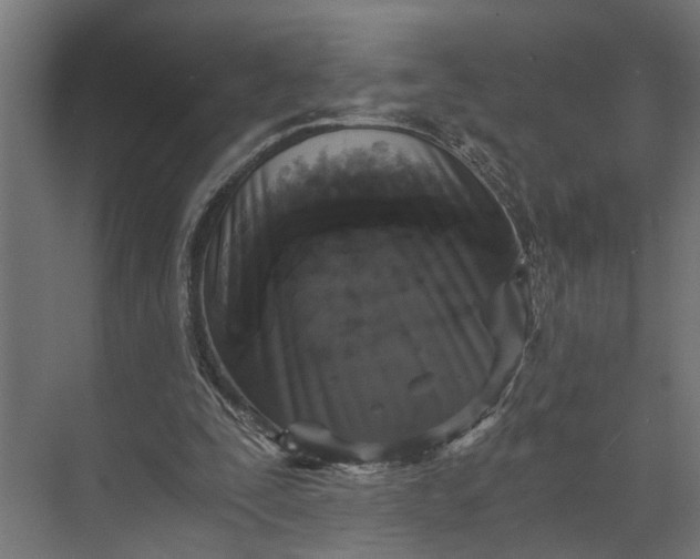 X0000073860295200608241116