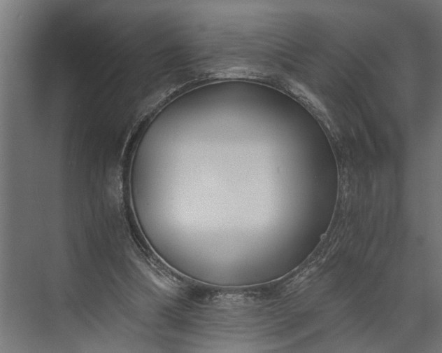 X0000073860298200608241115