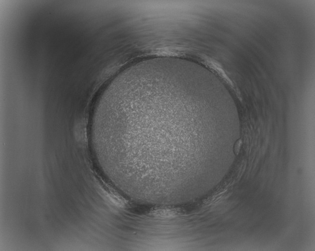 X0000073860299200608241115