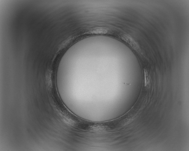 X0000073860300200608241115