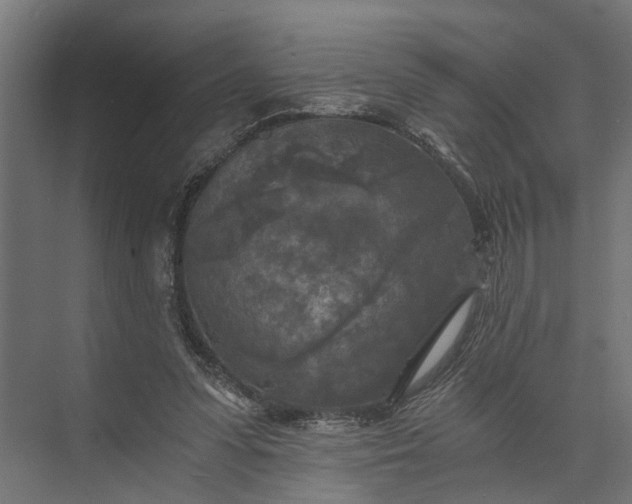 X0000073860303200608241115