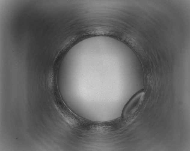 X0000073860304200608241115