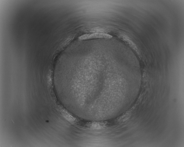 X0000073860305200608241115