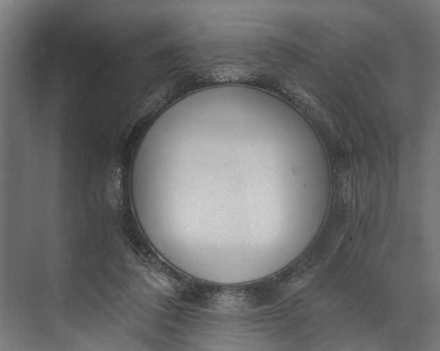 X0000073860308200608241115