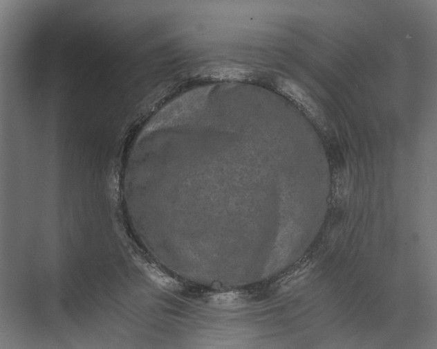 X0000073860309200608241115