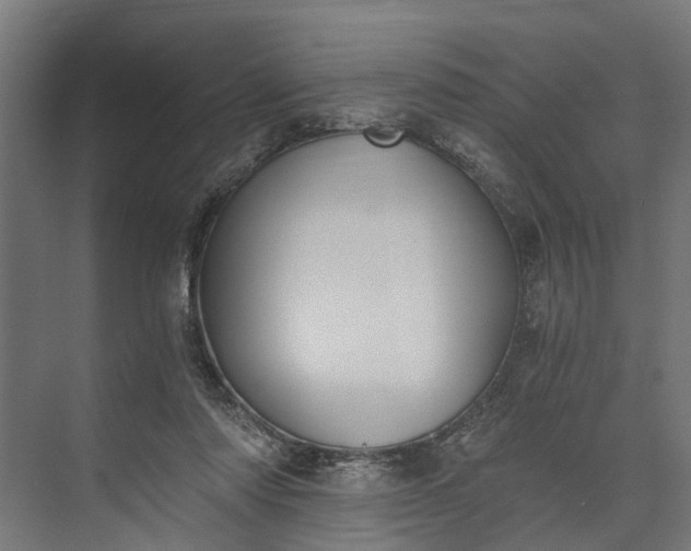 X0000073860310200608241115