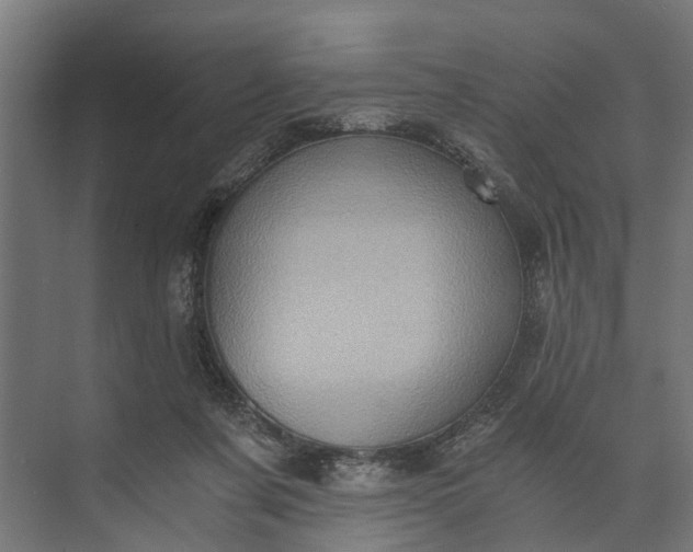 X0000073860311200608241115