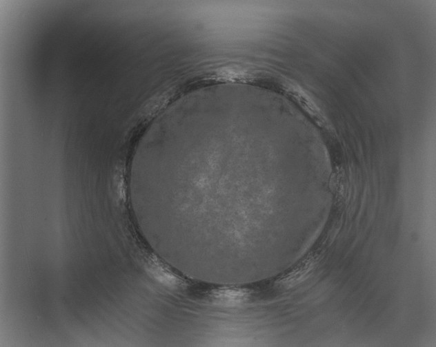 X0000073860313200608241115