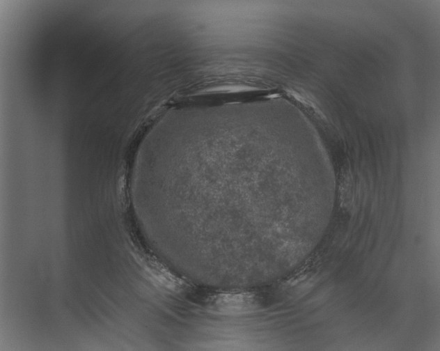 X0000073860314200608241115