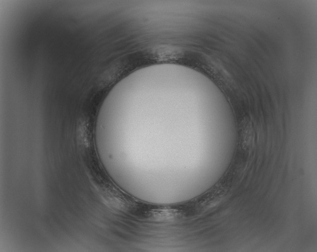 X0000073860316200608241115