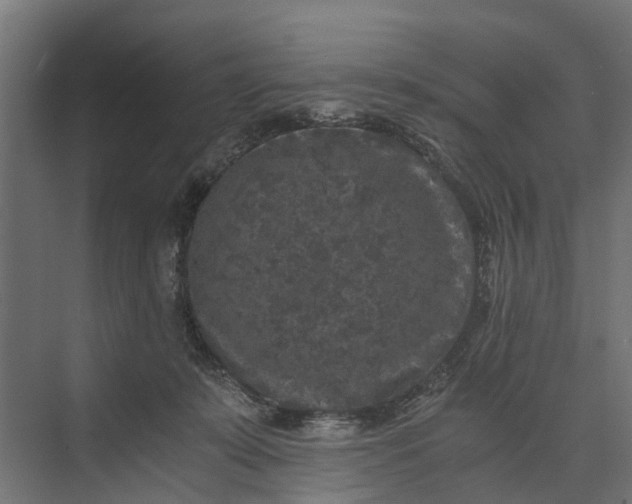 X0000073860319200608241115