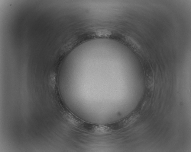 X0000073860321200608241115