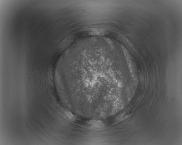 X0000073860322200608241115