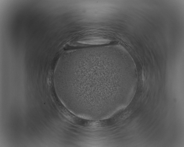 X0000073860325200608241115