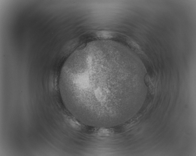 X0000073860330200608241115