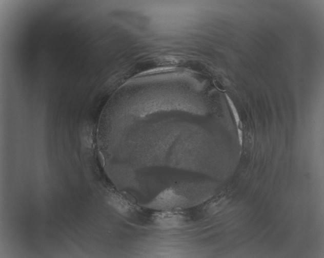 X0000073860331200608241115