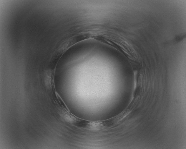 X0000073860333200608241115