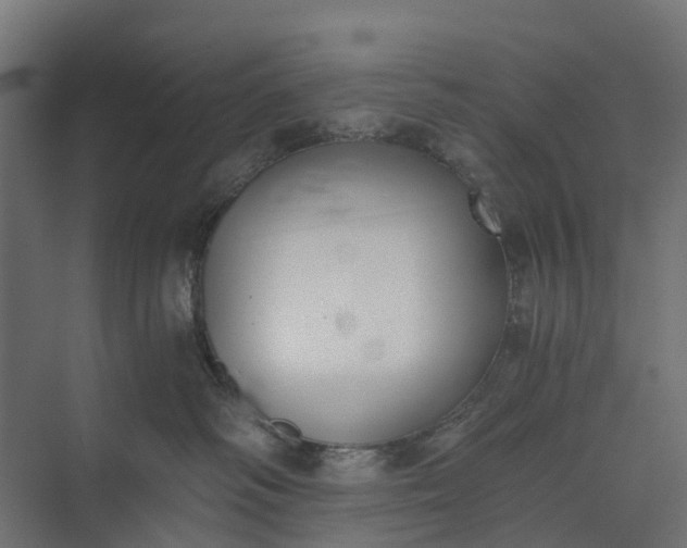 X0000073860334200608241115