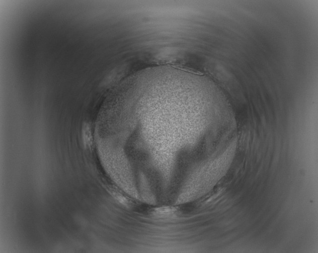 X0000073860335200608241115