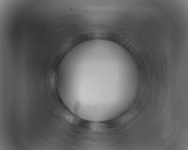 X0000073860336200608241115