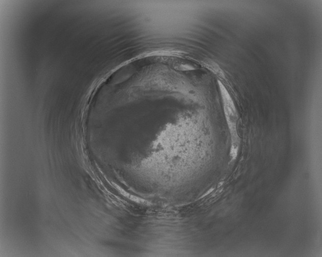 X0000073860337200608241114