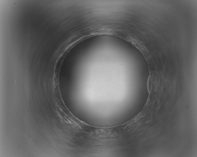 X0000073860338200608241114