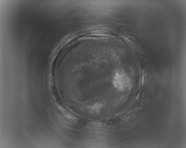 X0000073860339200608241114