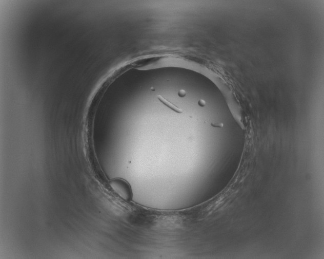 X0000073860342200608241114