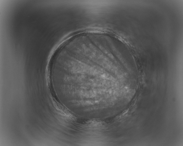 X0000073860343200608241114