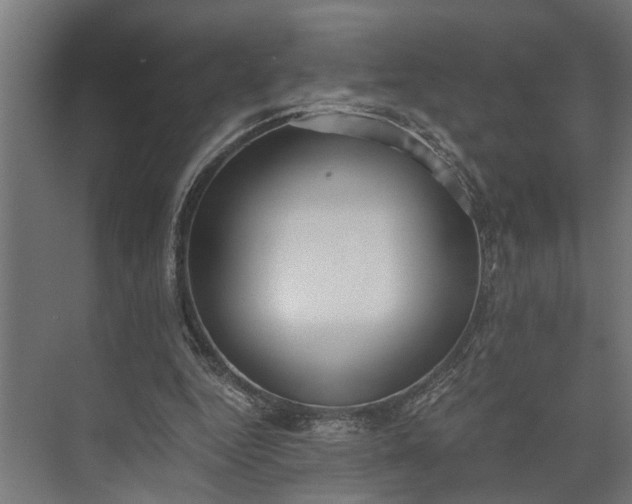 X0000073860344200608241114