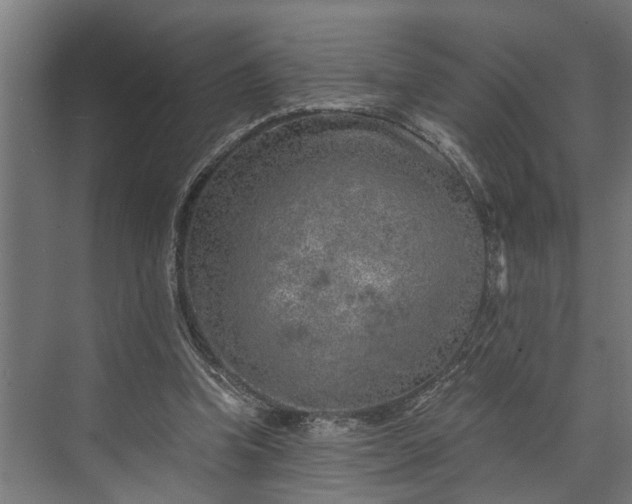 X0000073860346200608241114