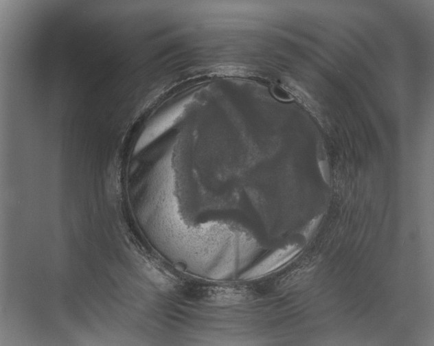 X0000073860347200608241114