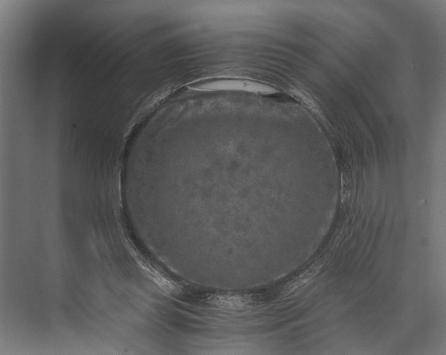 X0000073860349200608241114