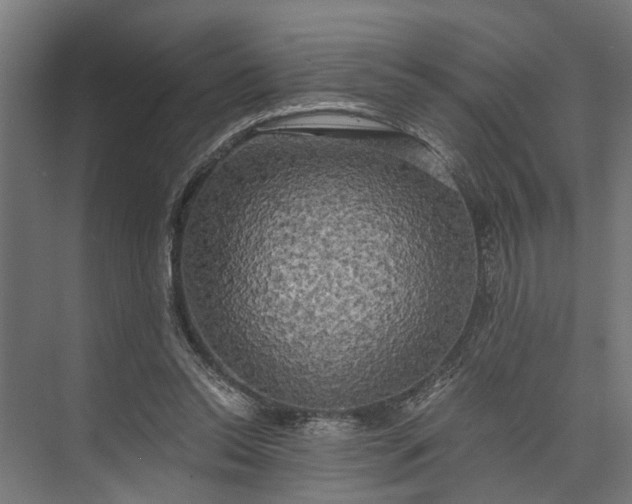 X0000073860350200608241114