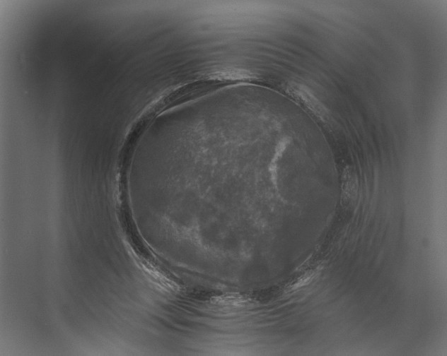 X0000073860351200608241114