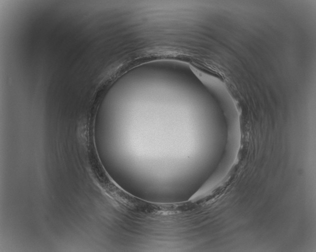 X0000073860352200608241114