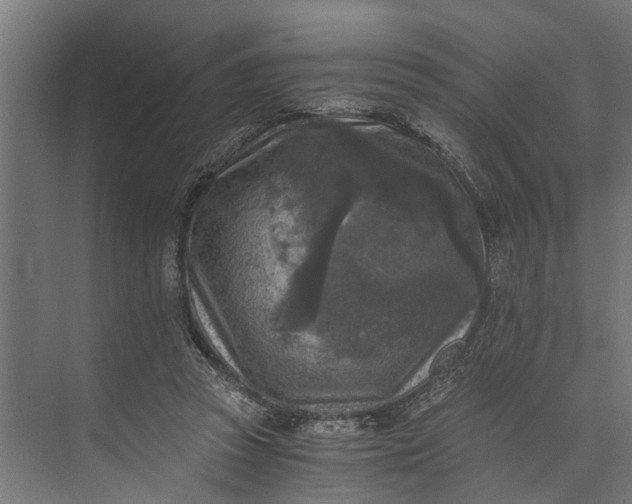 X0000073860353200608241114