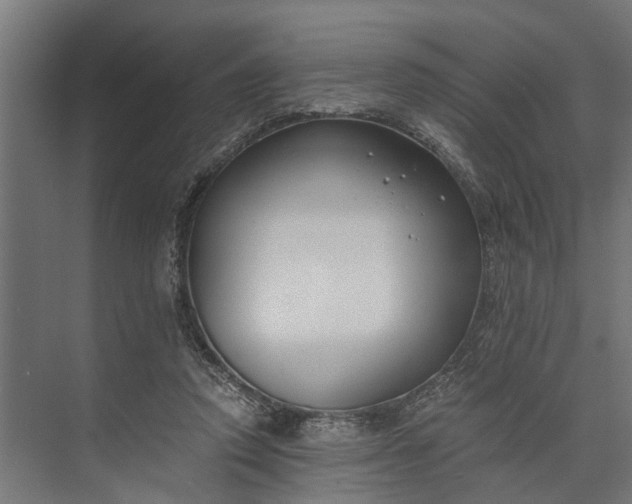 X0000073860354200608241114