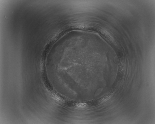 X0000073860355200608241114