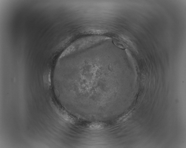 X0000073860358200608241114