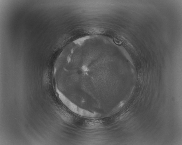 X0000073860359200608241114